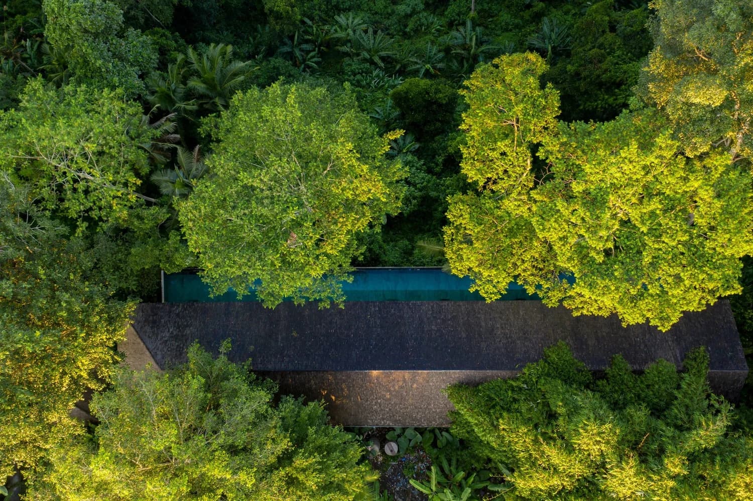 Hidden Paradise Ubud 7