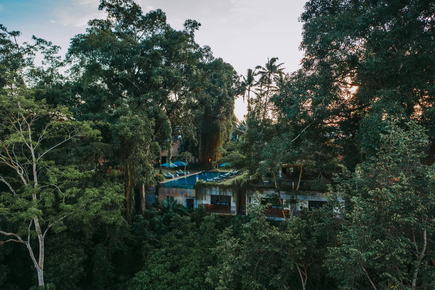 Hidden Paradise Ubud 5