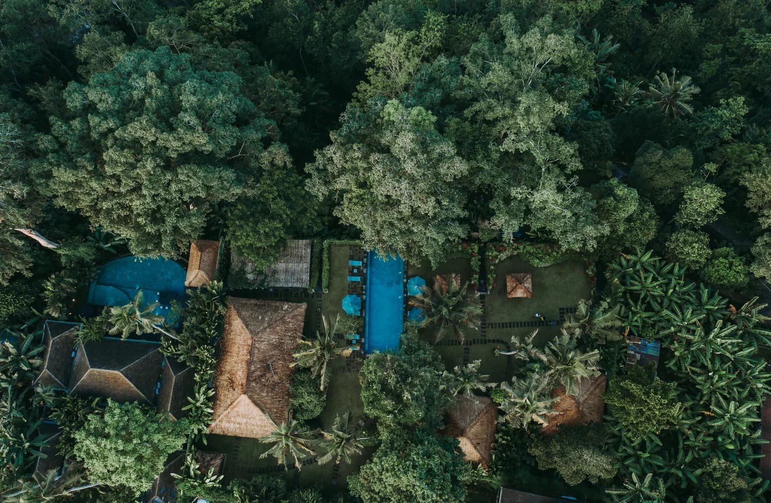 Hidden Paradise Ubud 6