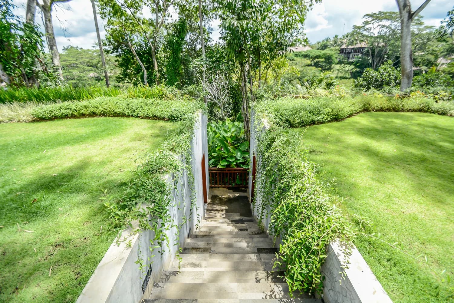 Hidden Paradise Ubud 10