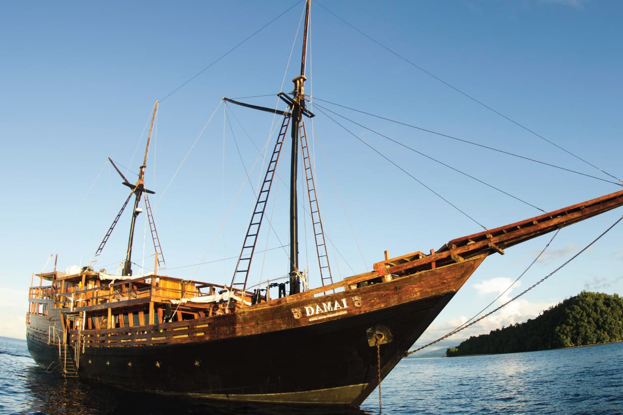 20% OFF 8 Days Komodo Diving Liveaboard | Jan 11th – 18th, 2026