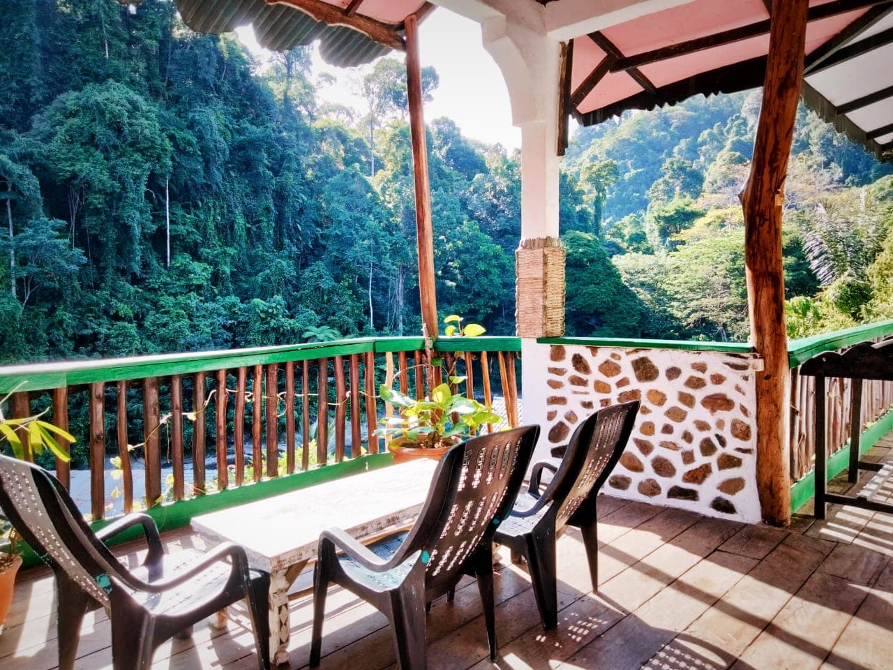 Jungle Inn Bukit Lawang 13