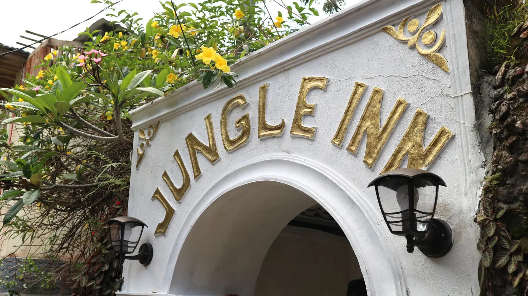 Jungle Inn Bukit Lawang 8
