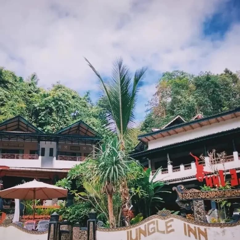Jungle Inn Bukit Lawang 11