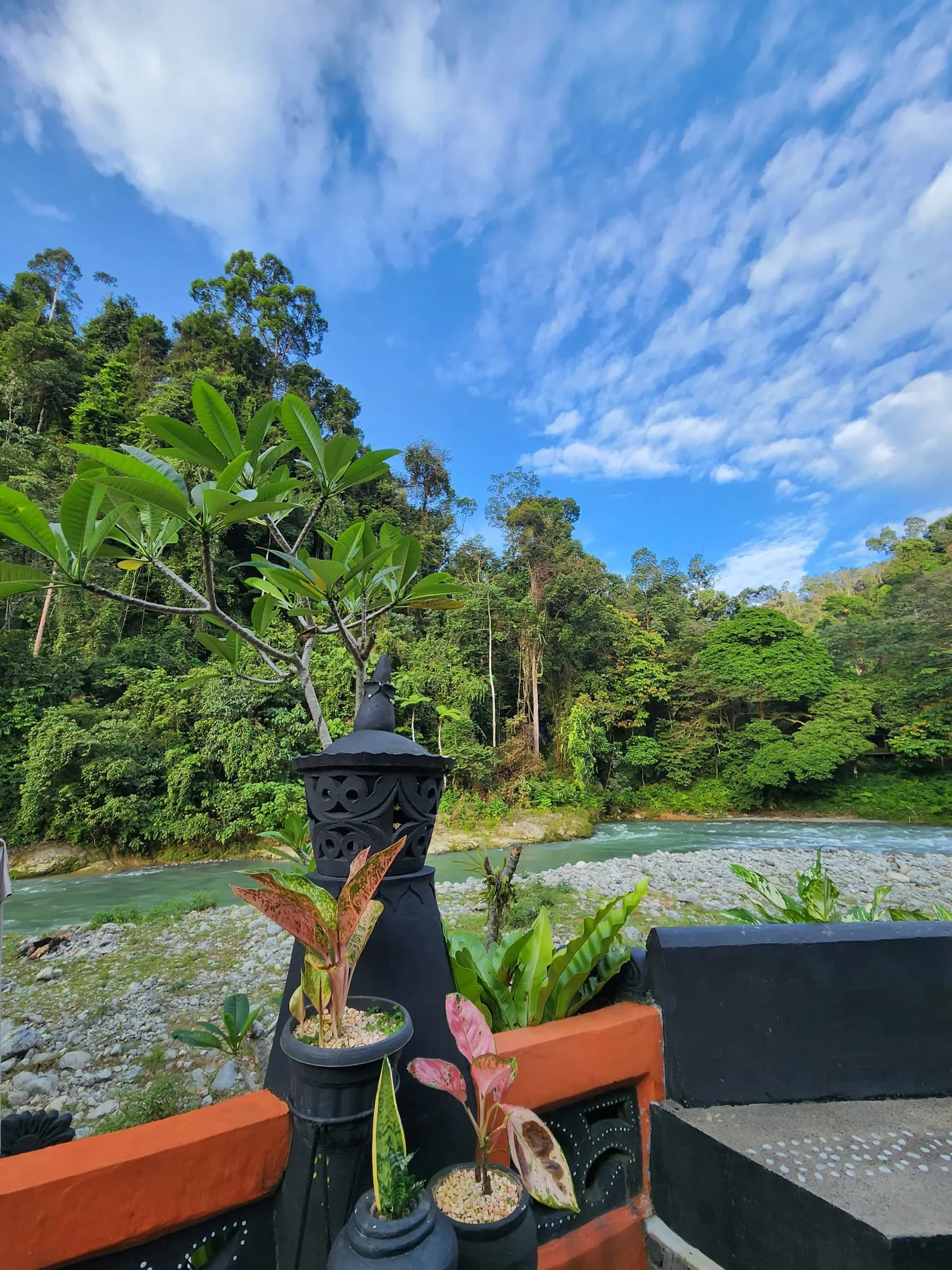 Jungle Inn Bukit Lawang 5