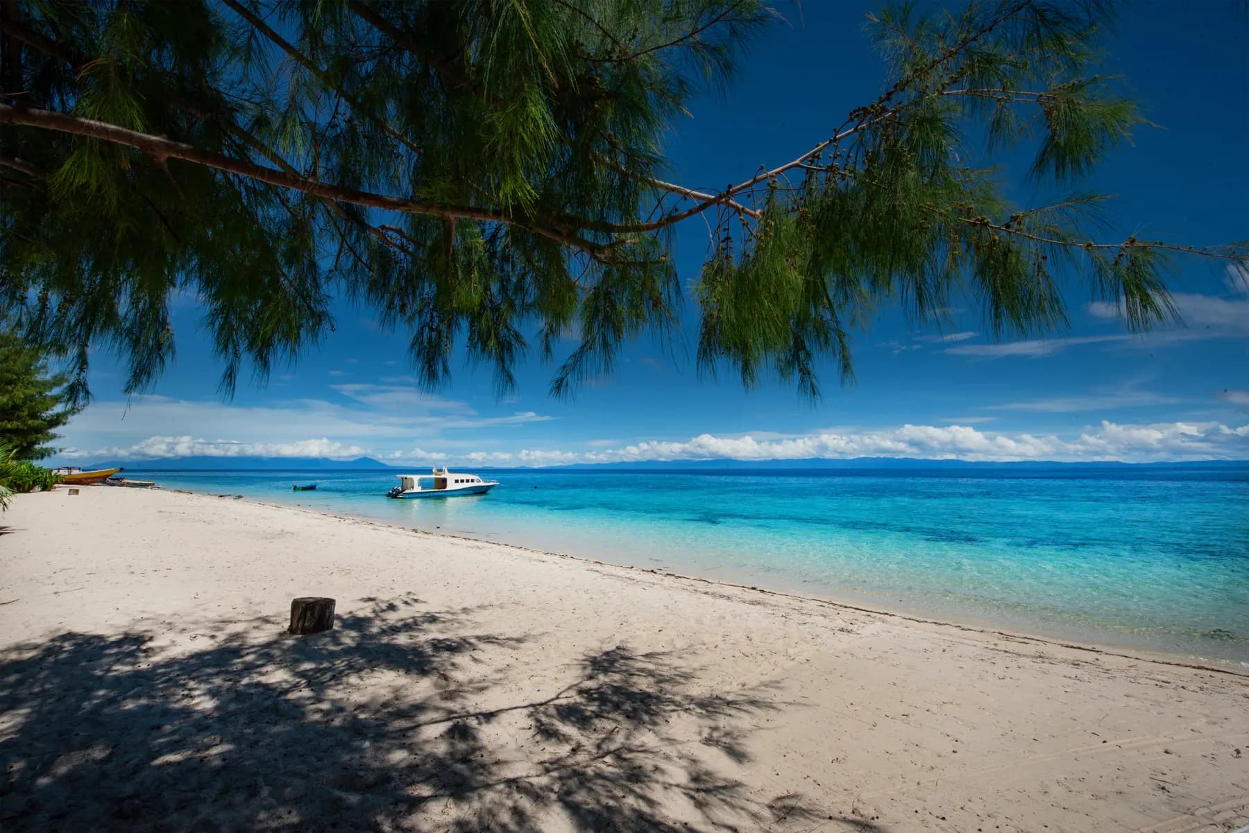 Metita Beach & Dive Resort 11