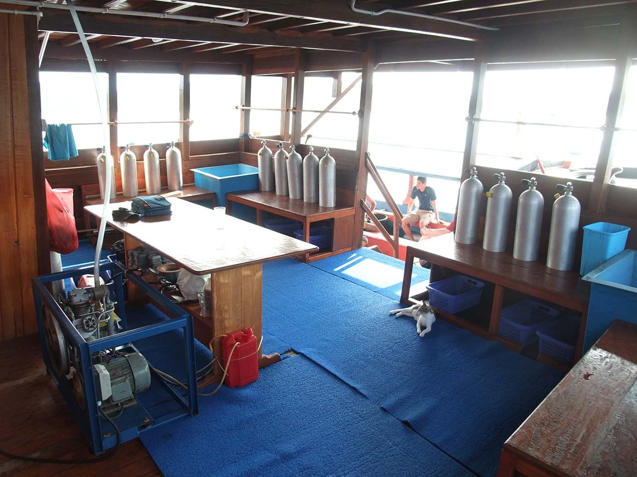 Sunshine Liveaboard 7