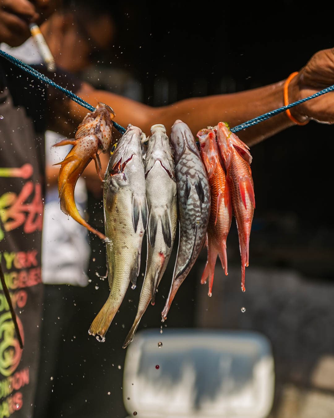 Maringi Sumba 23