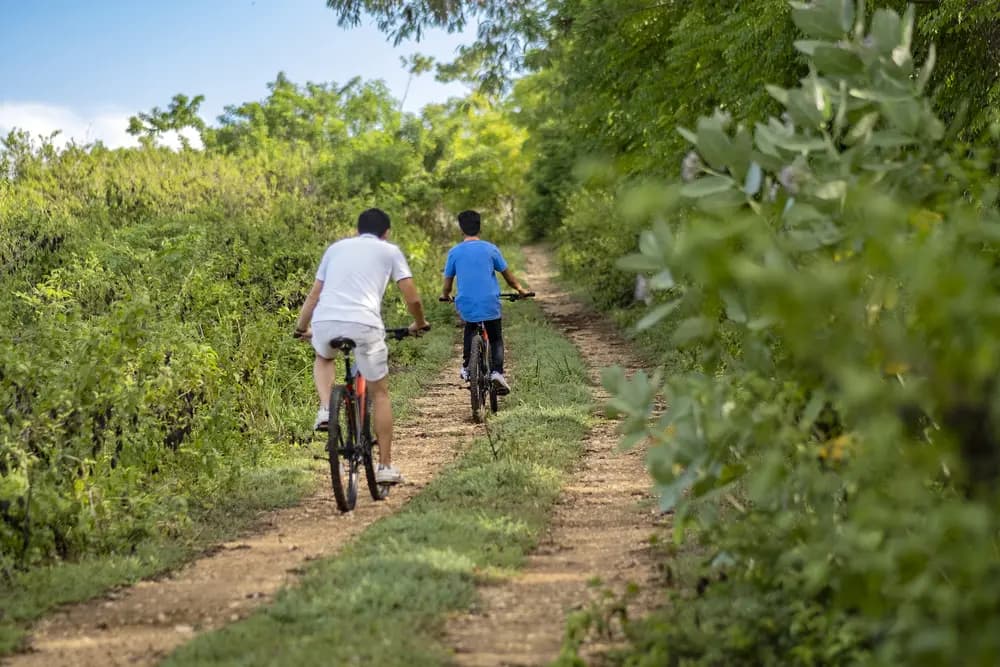 Lelewatu Resort Sumba 29