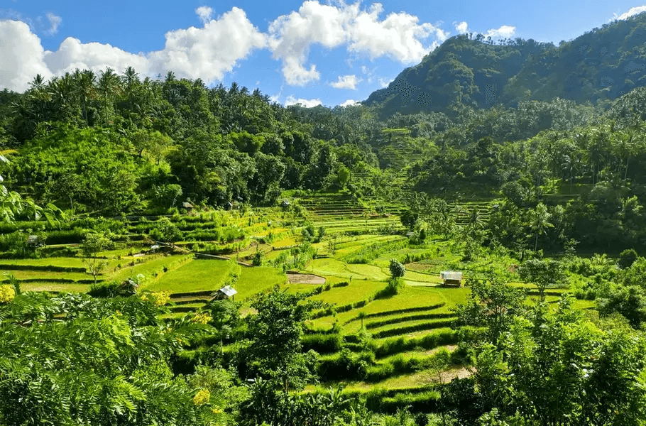 Jepun Hill Studios 42