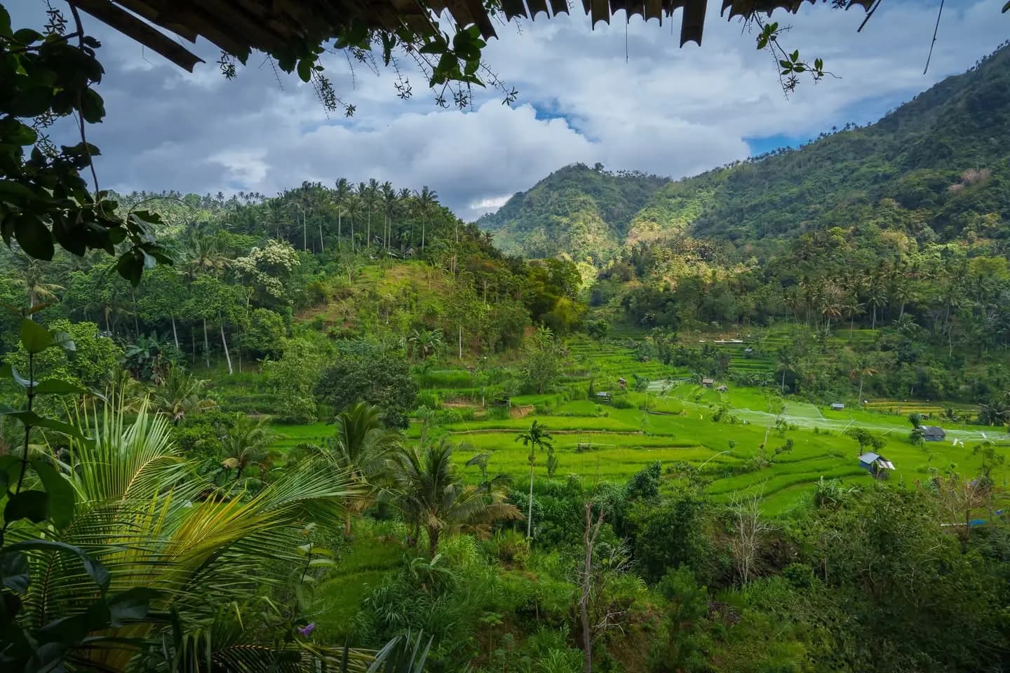 Jepun Hill Studios 43