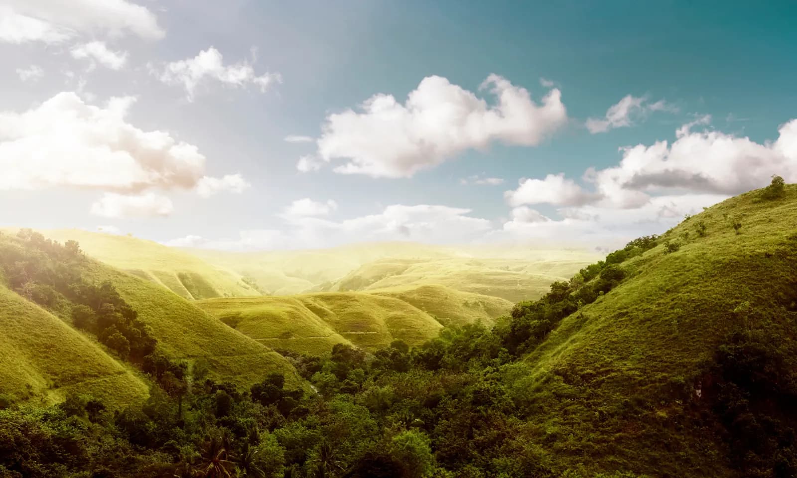 Sumba 16