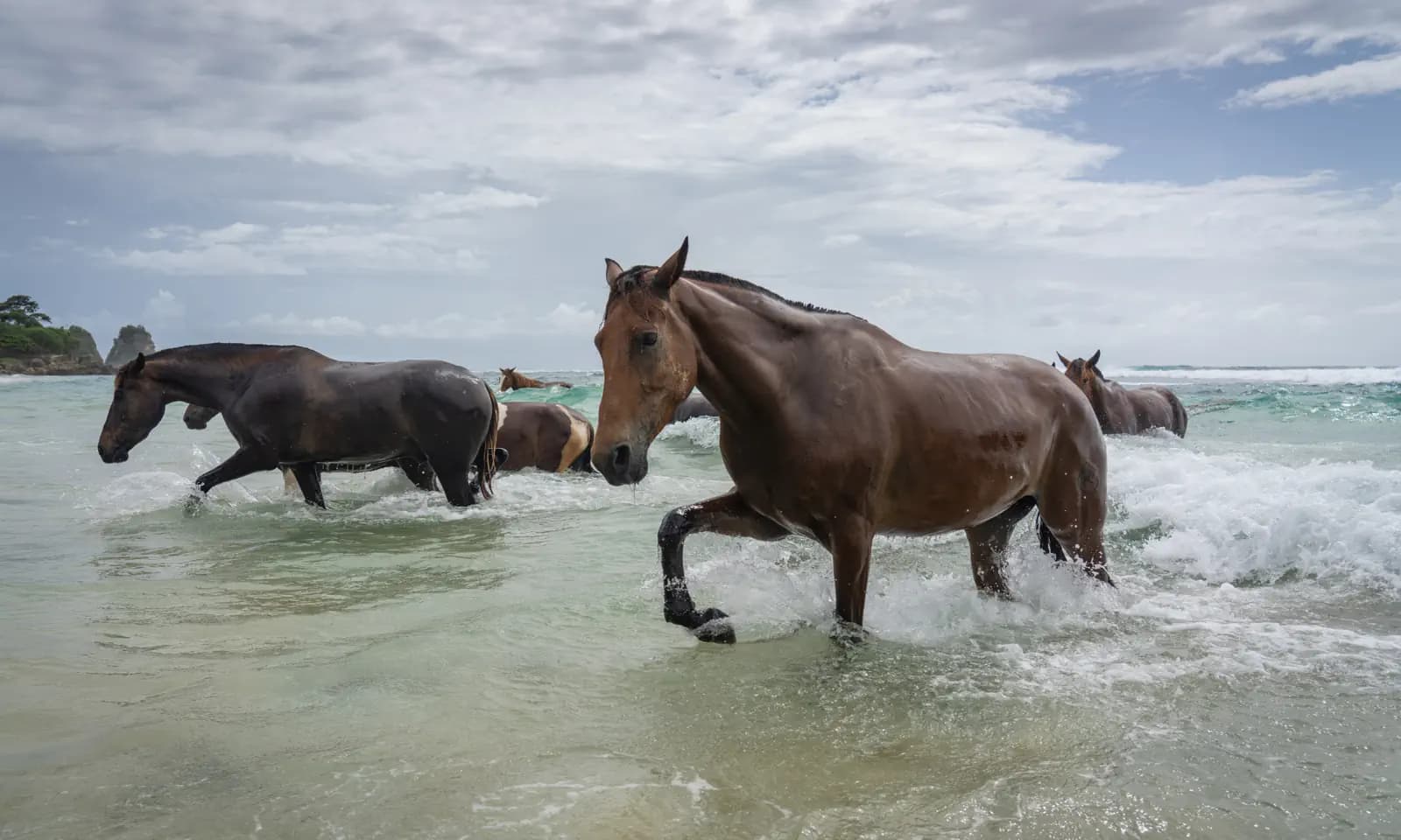 Sumba 26