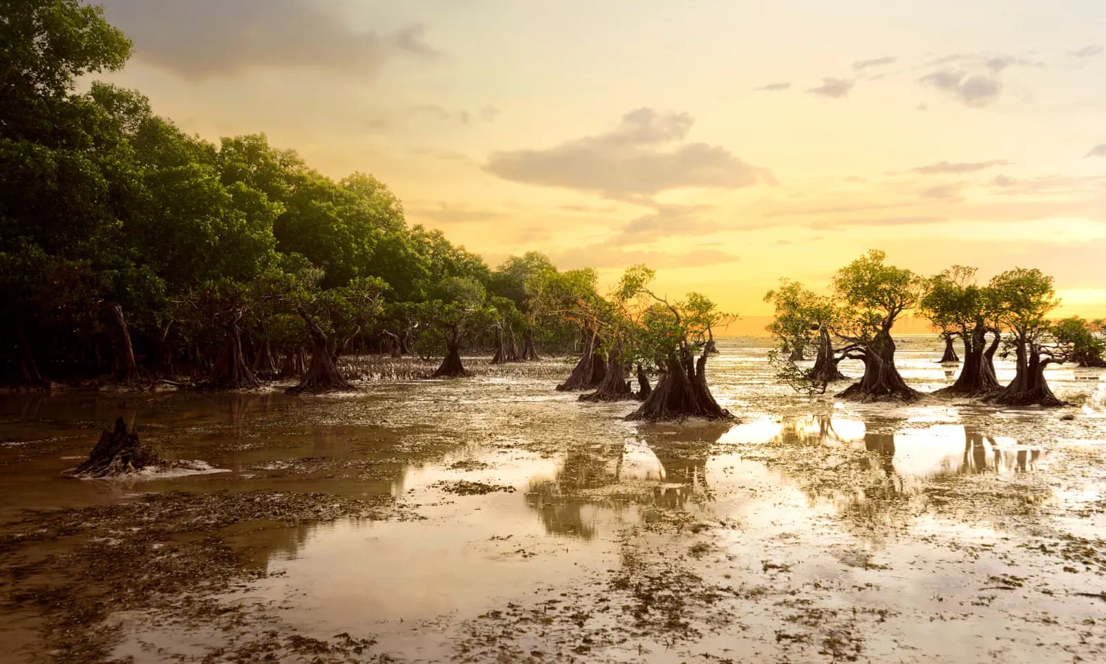Sumba 8