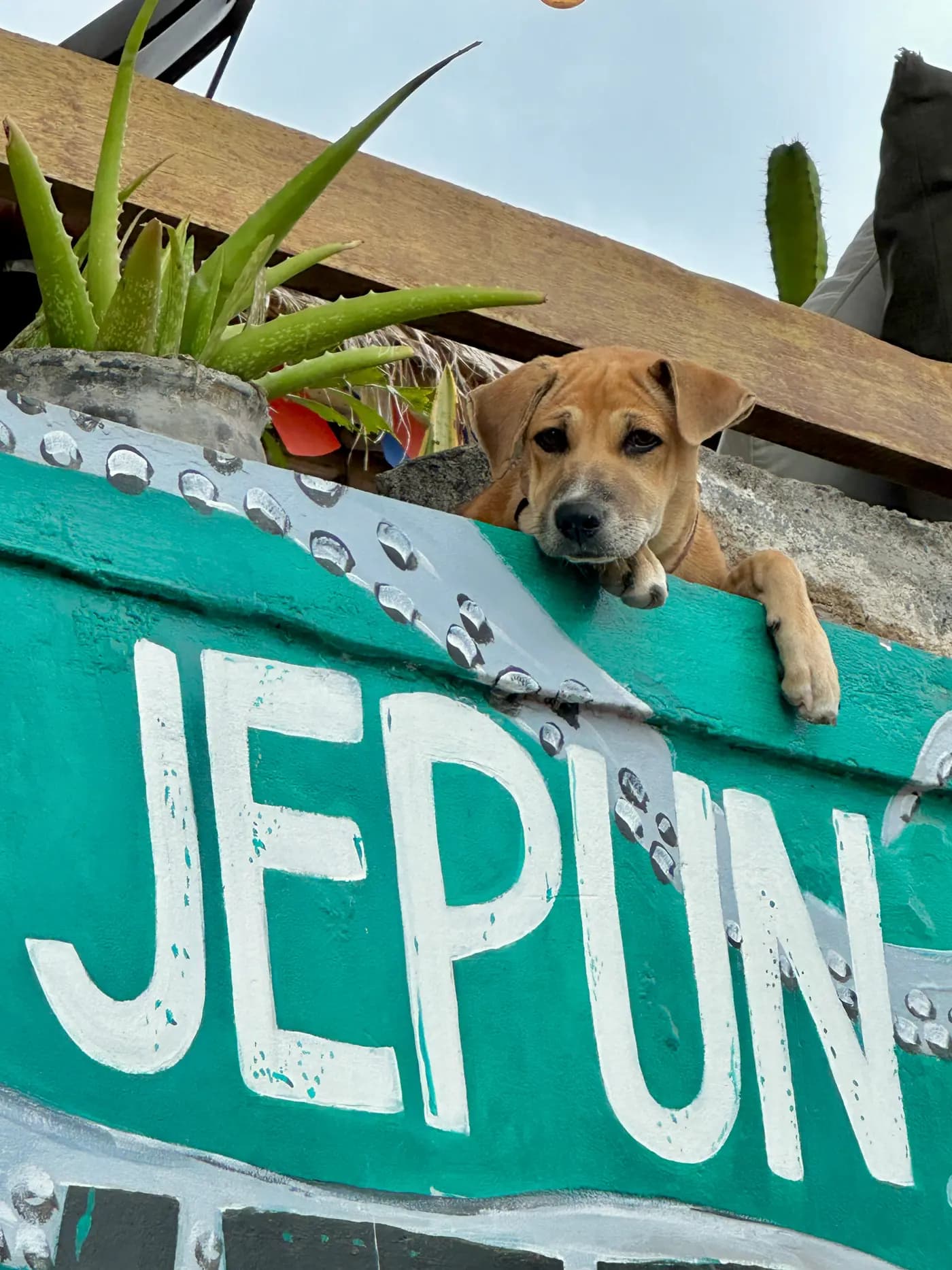 Jepun Hill Studios 20