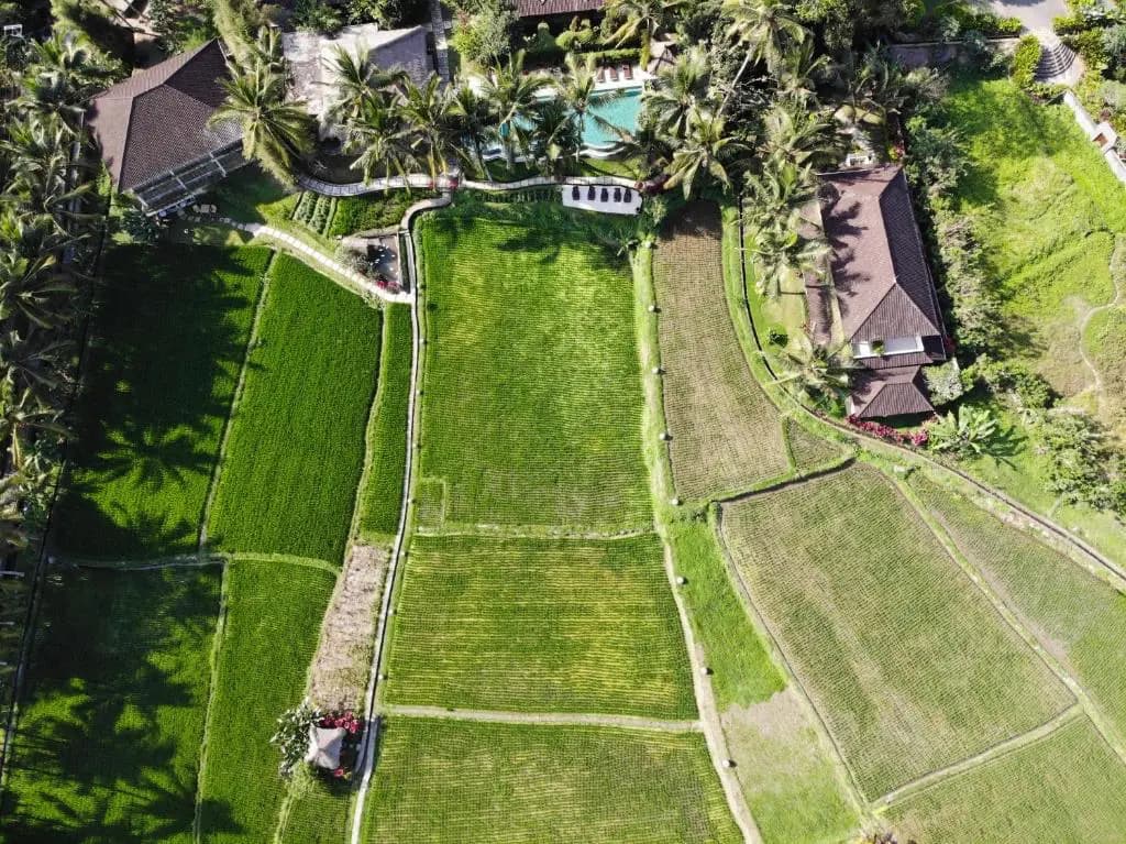 Mathis Retreat Ubud 16