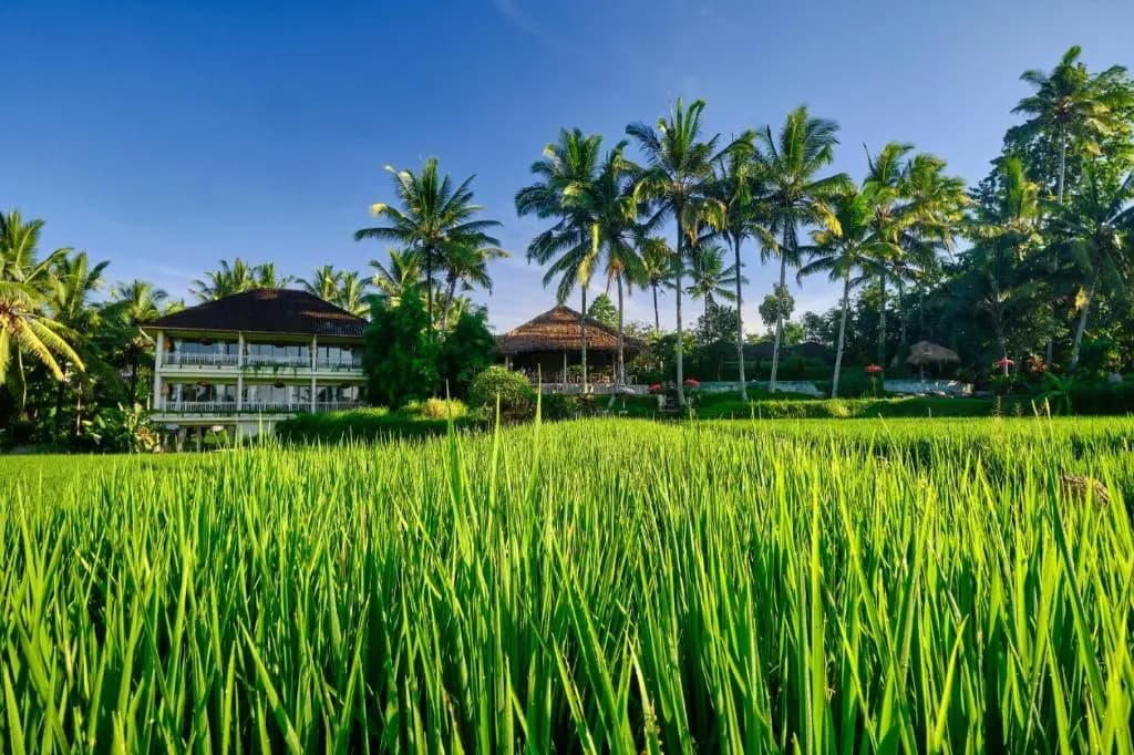 Mathis Retreat Ubud 14