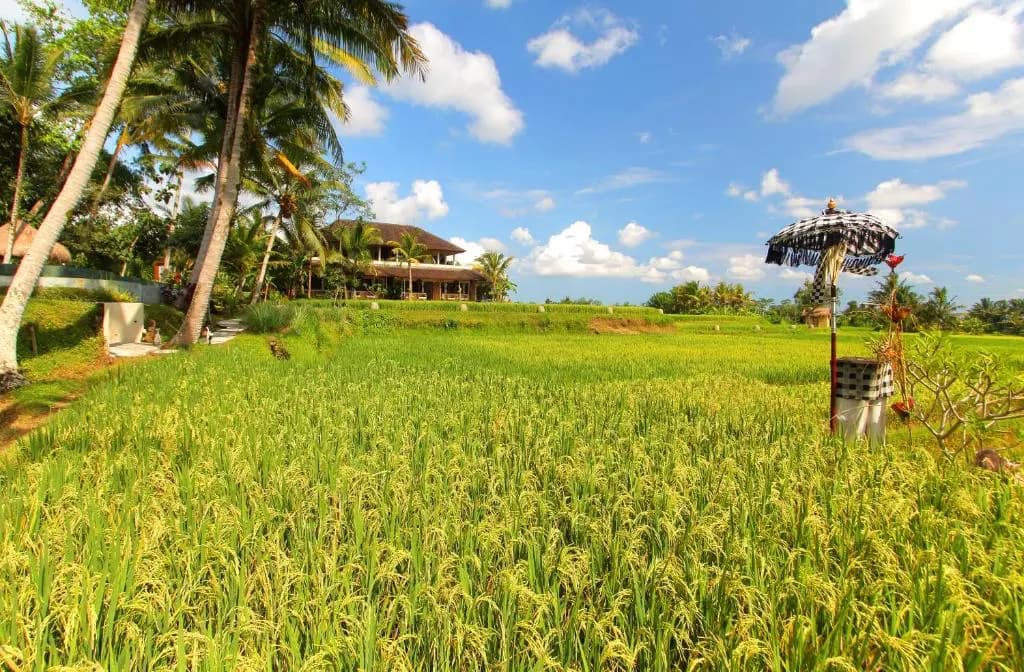 Mathis Retreat Ubud 24