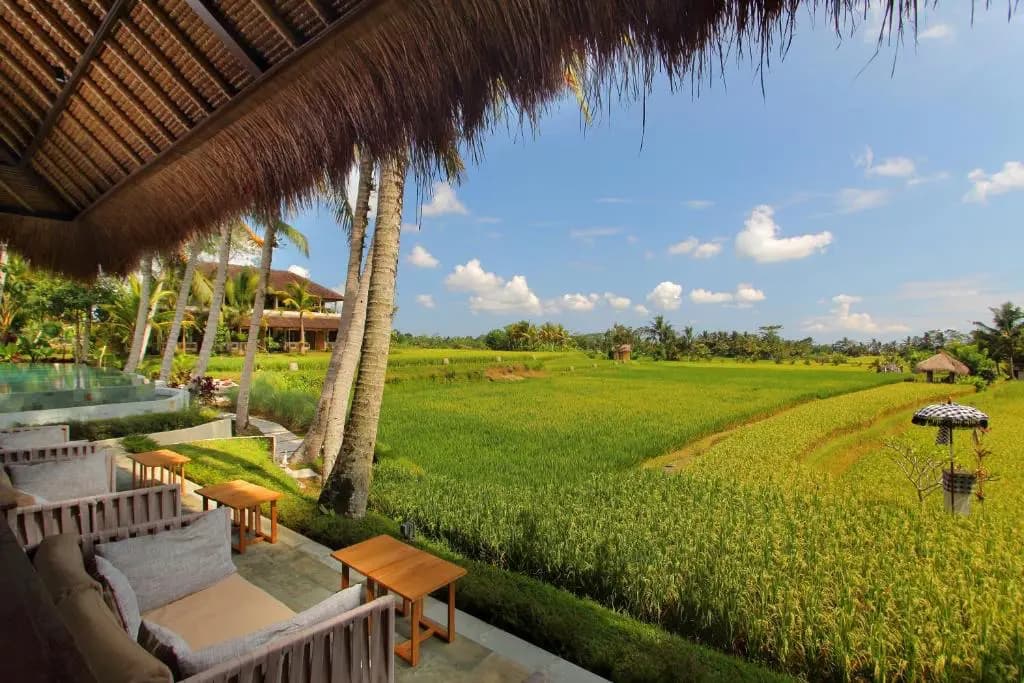 Mathis Retreat Ubud 13