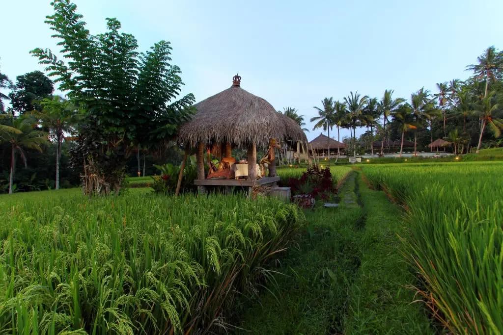 Mathis Retreat Ubud 12
