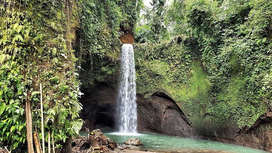 Circuit Bali 6 Jours : Culture, Forêts, Plages et Récifs Coralliens 17