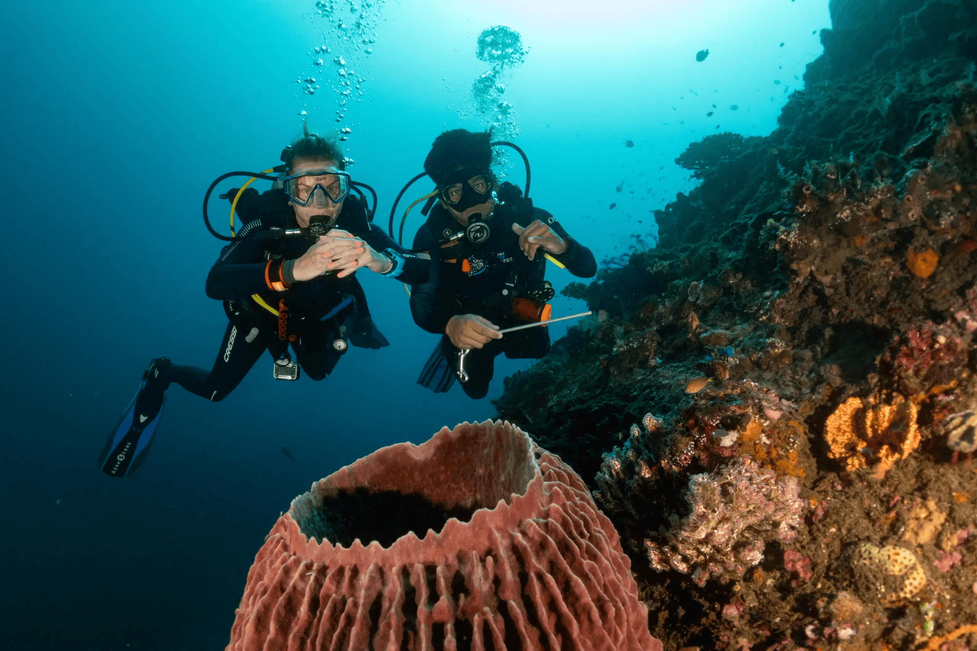 7 Days Bali Dive Safari 13