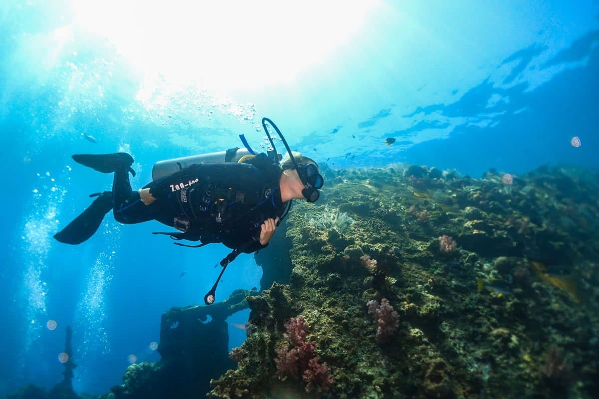 7 Days Bali Dive Safari 15