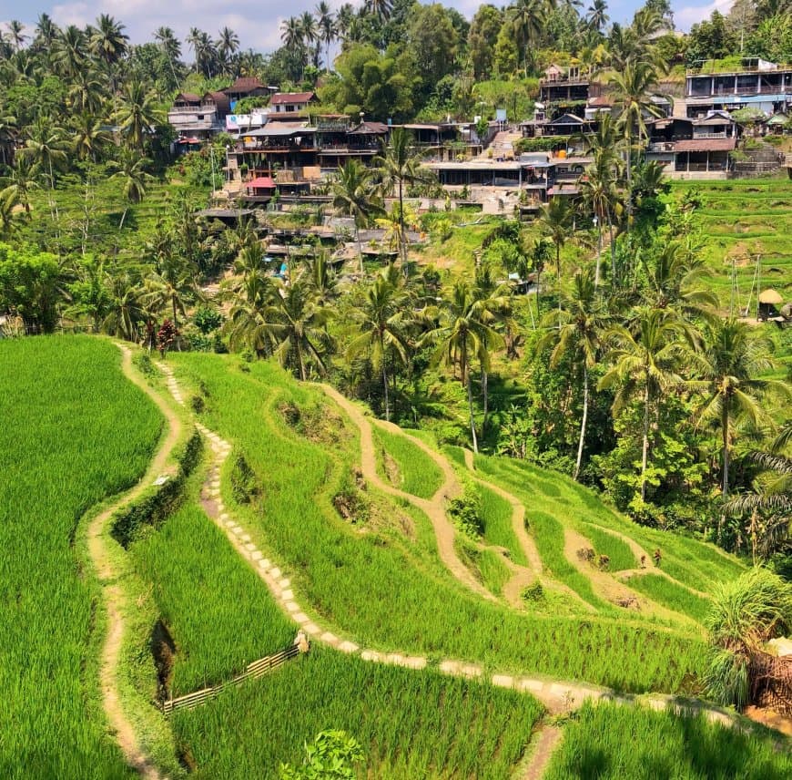 Safari Plongée 13 Jours à Bali & Nusa Penida 2