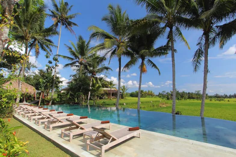 Circuit Bali 6 Jours : Culture, Forêts, Plages et Récifs Coralliens 42