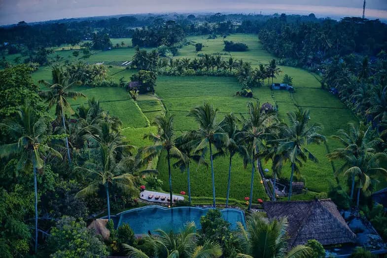Mathis Retreat Ubud 23