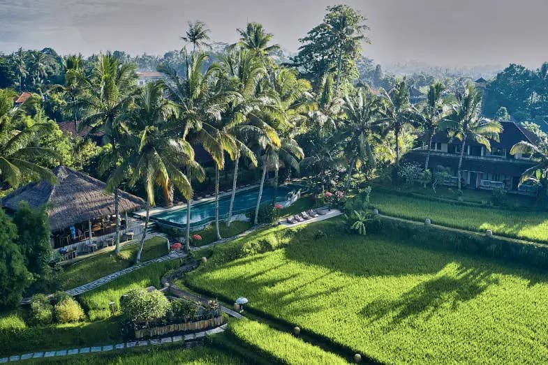 Circuit Bali 6 Jours : Culture, Forêts, Plages et Récifs Coralliens 40