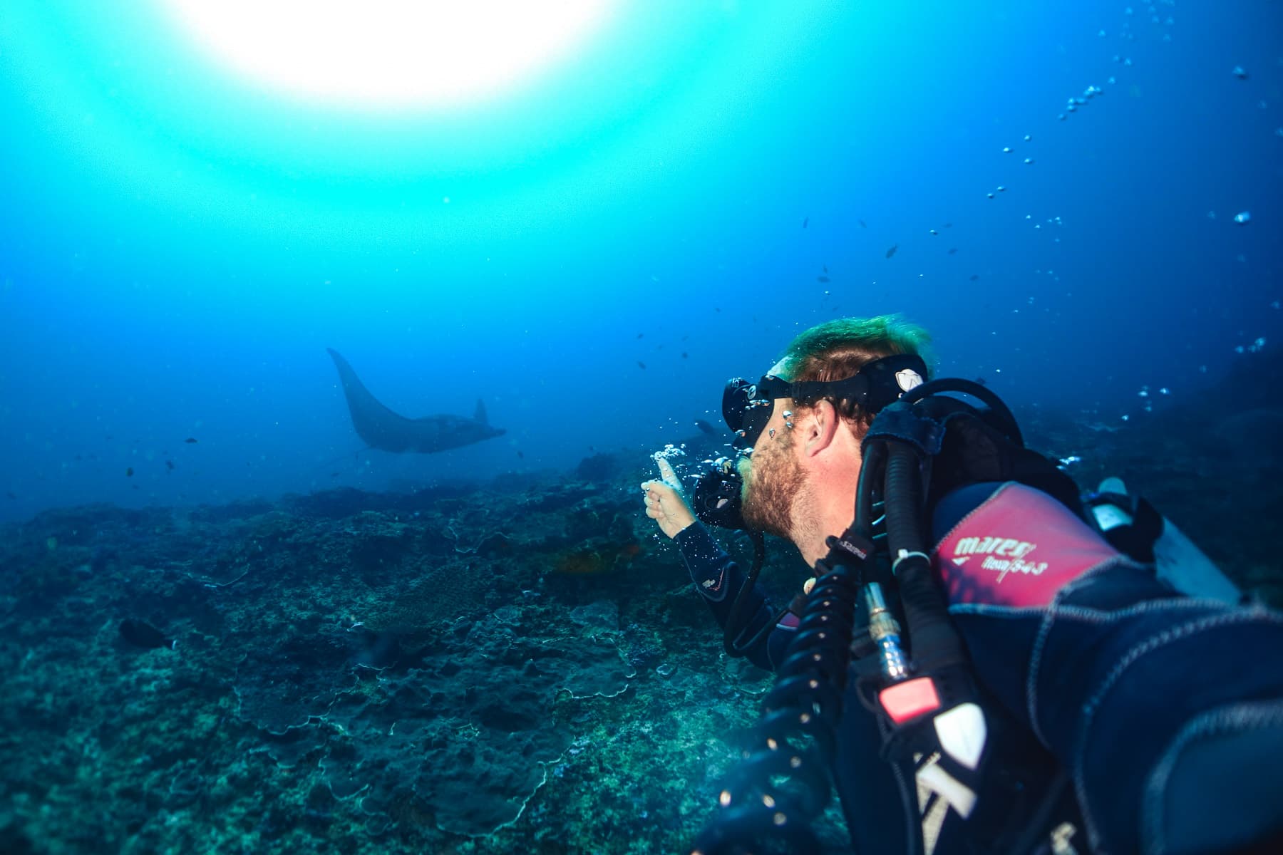7 Days Bali Dive Safari 5