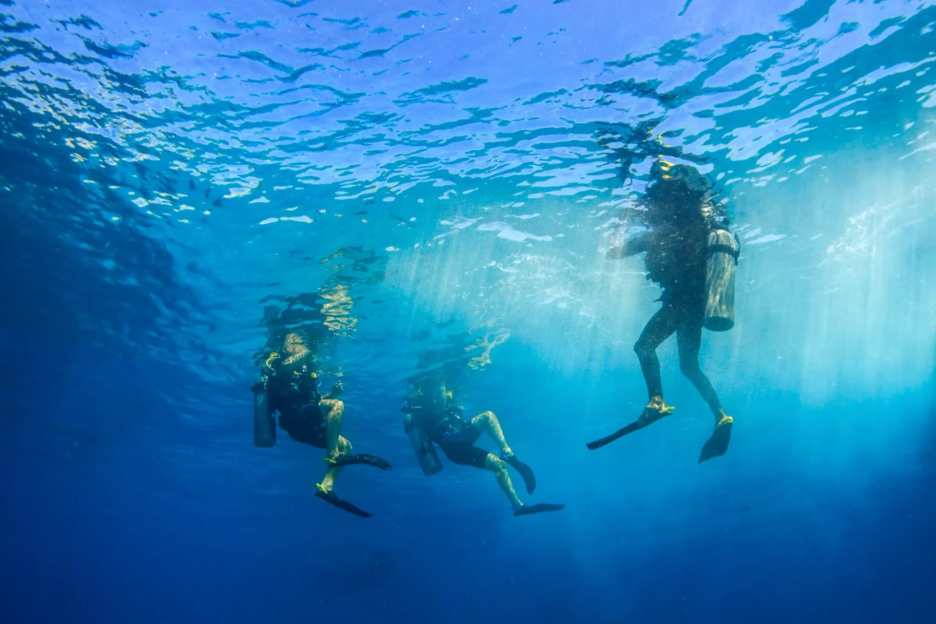 13 Days Dive Safari Bali & Gili Islands 27