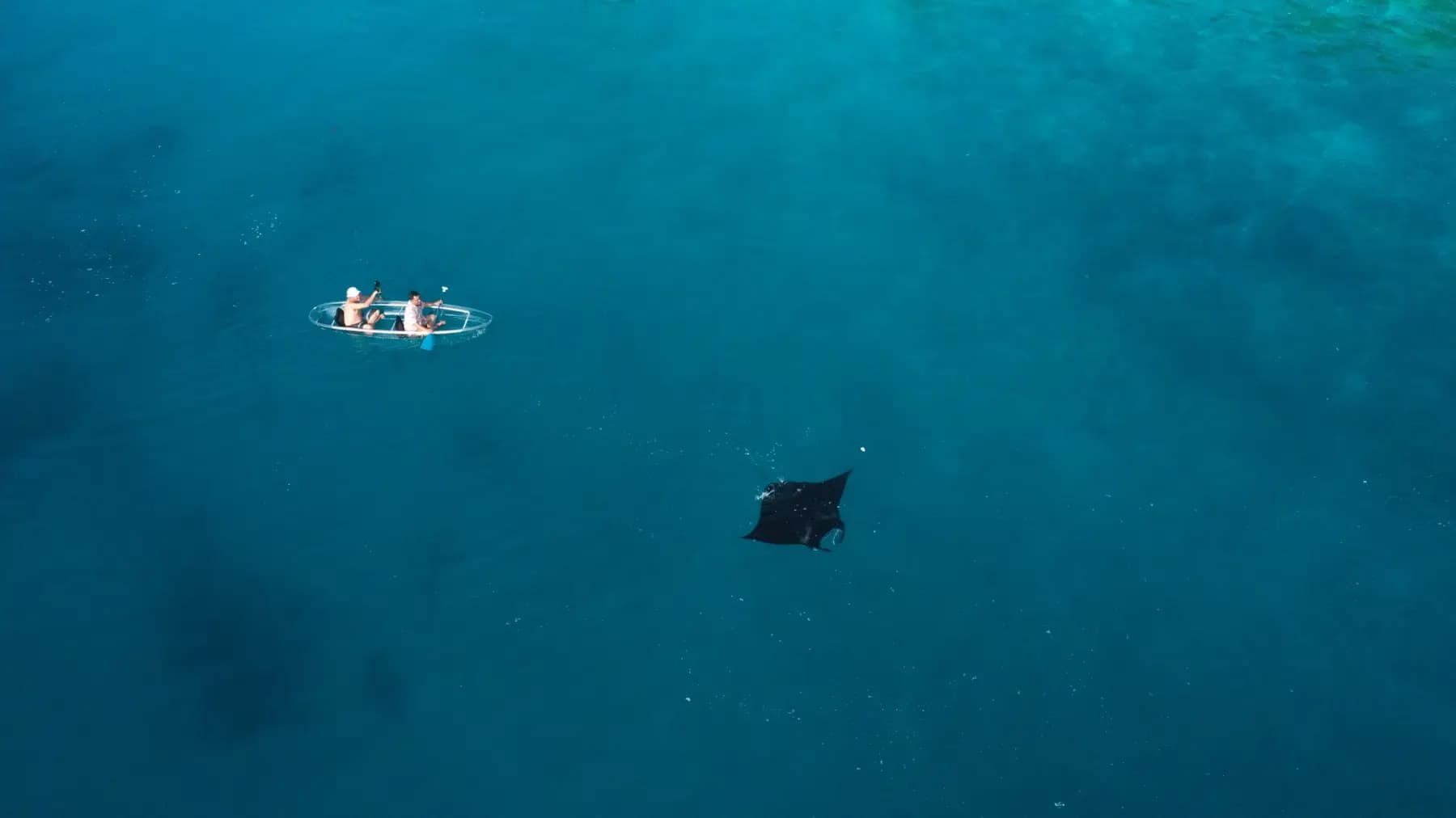 Andau Dive Resort 4