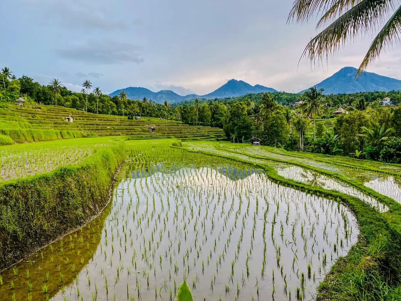 Wimala Farm House 22