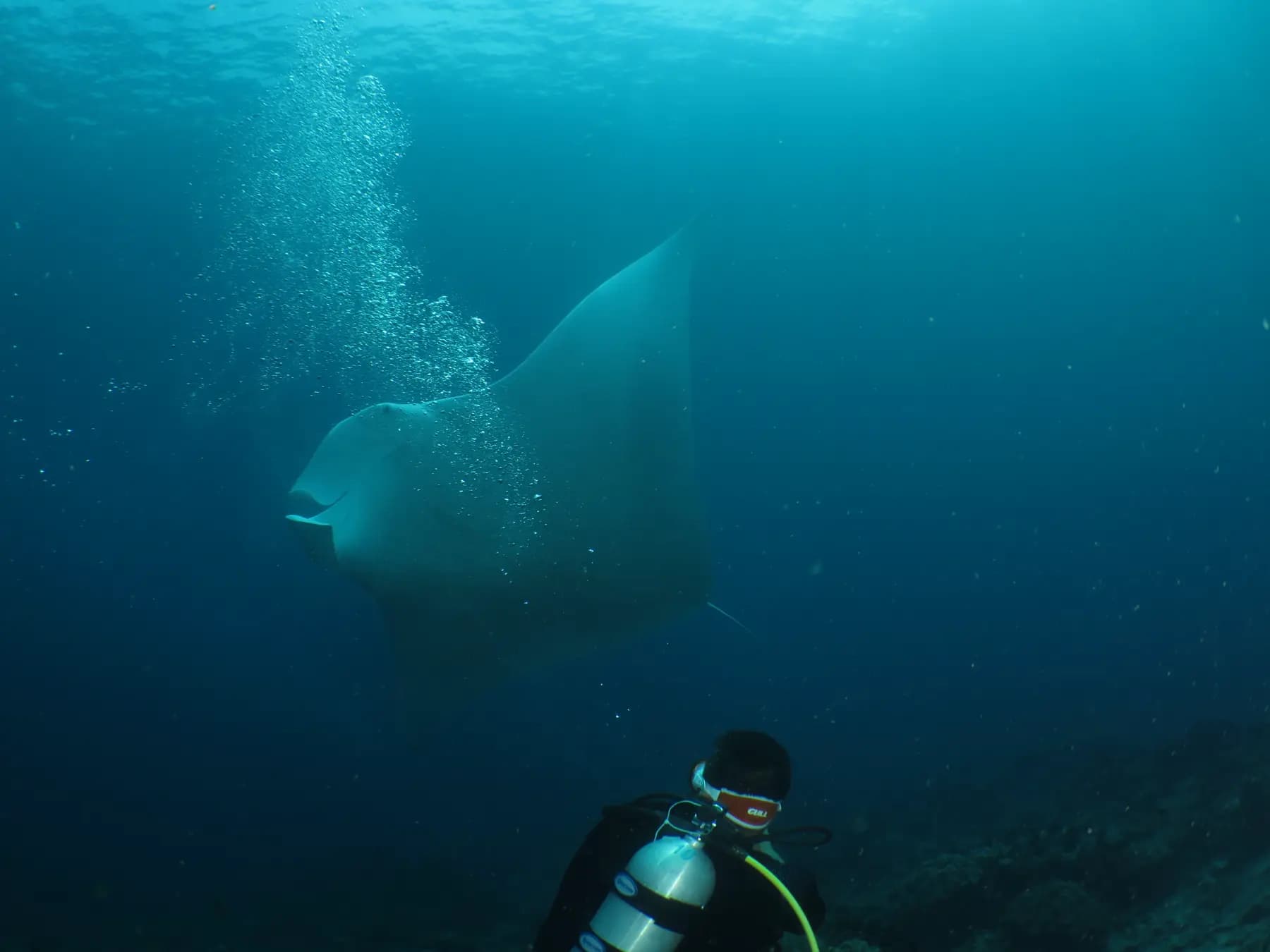 HamuEco Dive Resort 33