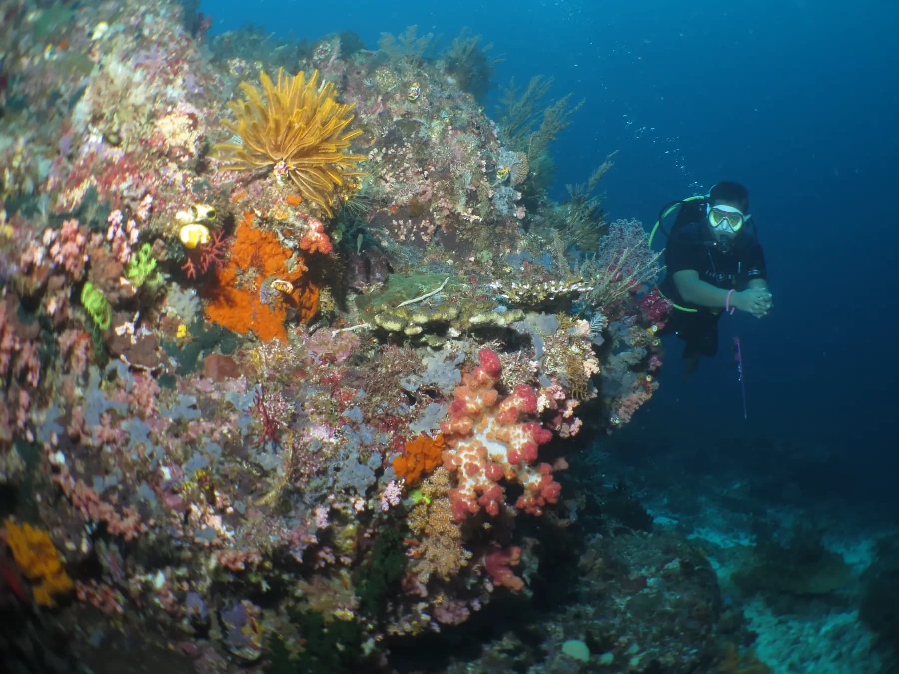 HamuEco Dive Resort 34