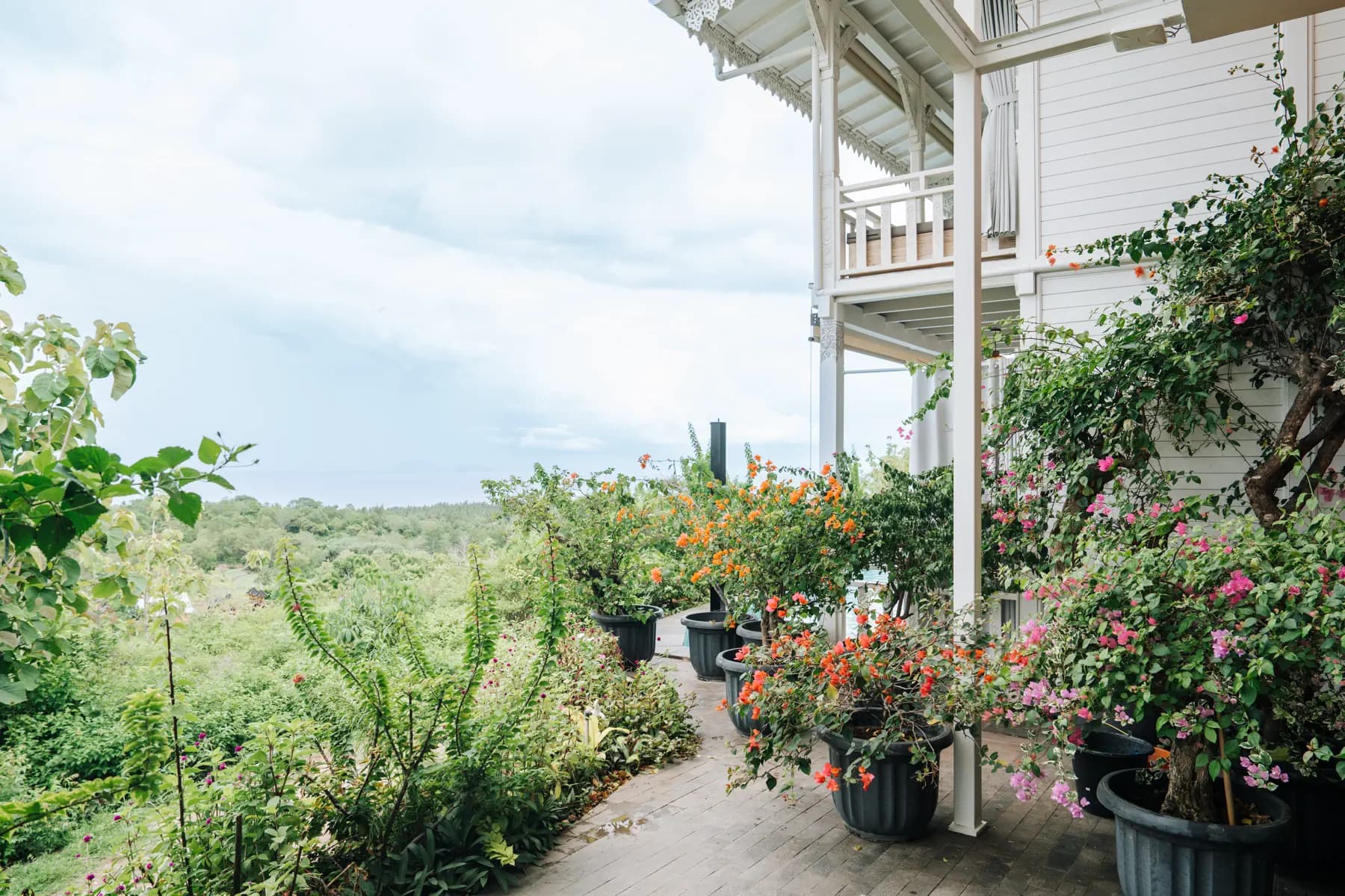 Mambo Hill Resort 1