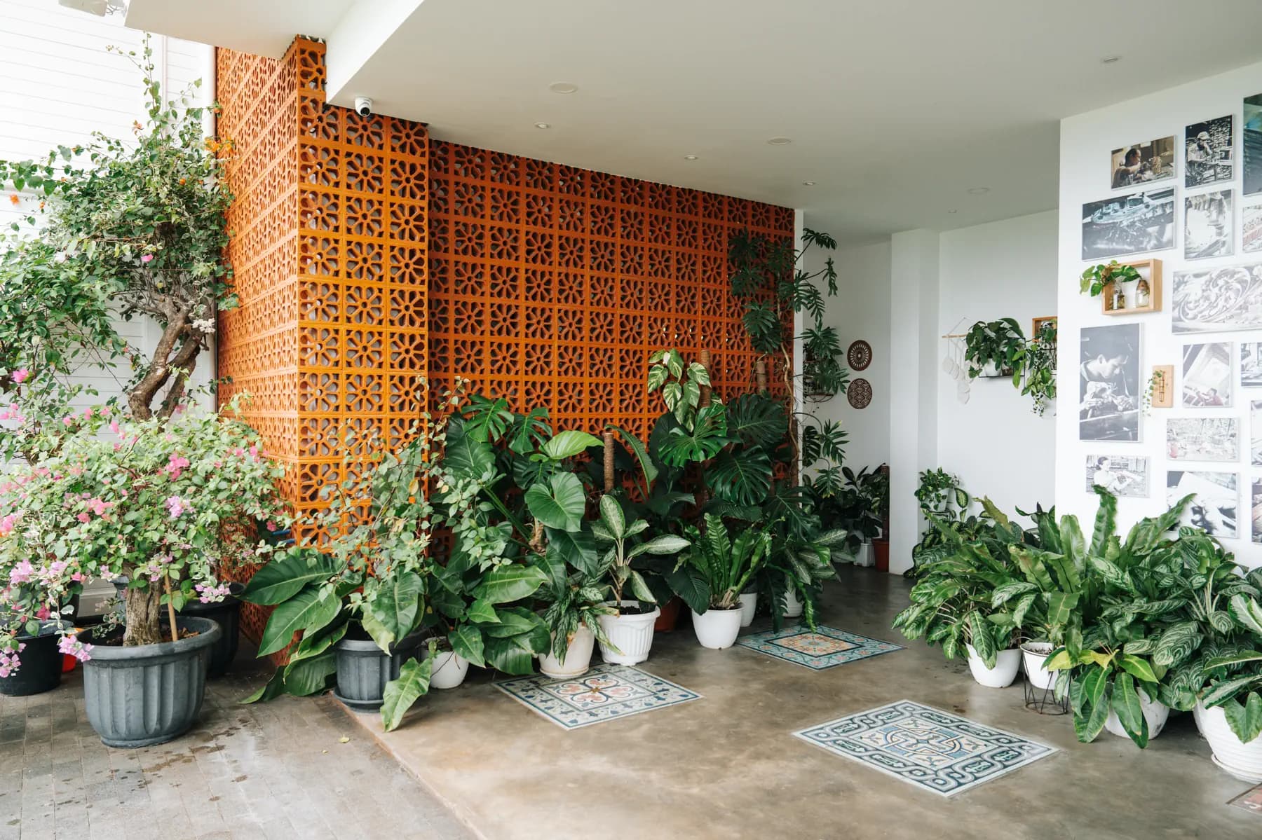 Mambo Hill Resort 2