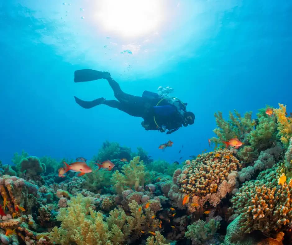 13 Days Dive Safari Bali & Gili Islands 32