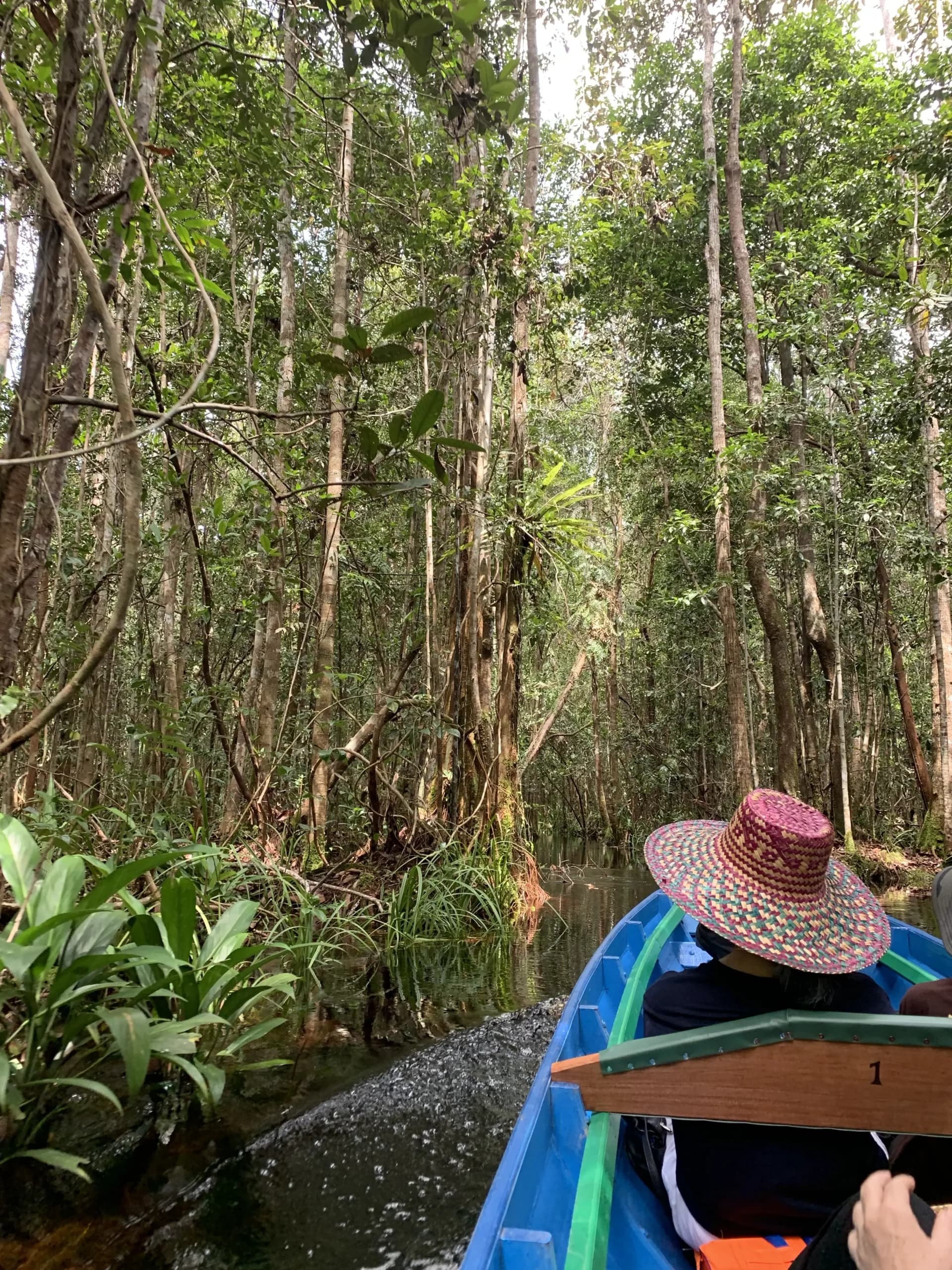 The Katingan River & Sebangau National Park Adventure 3