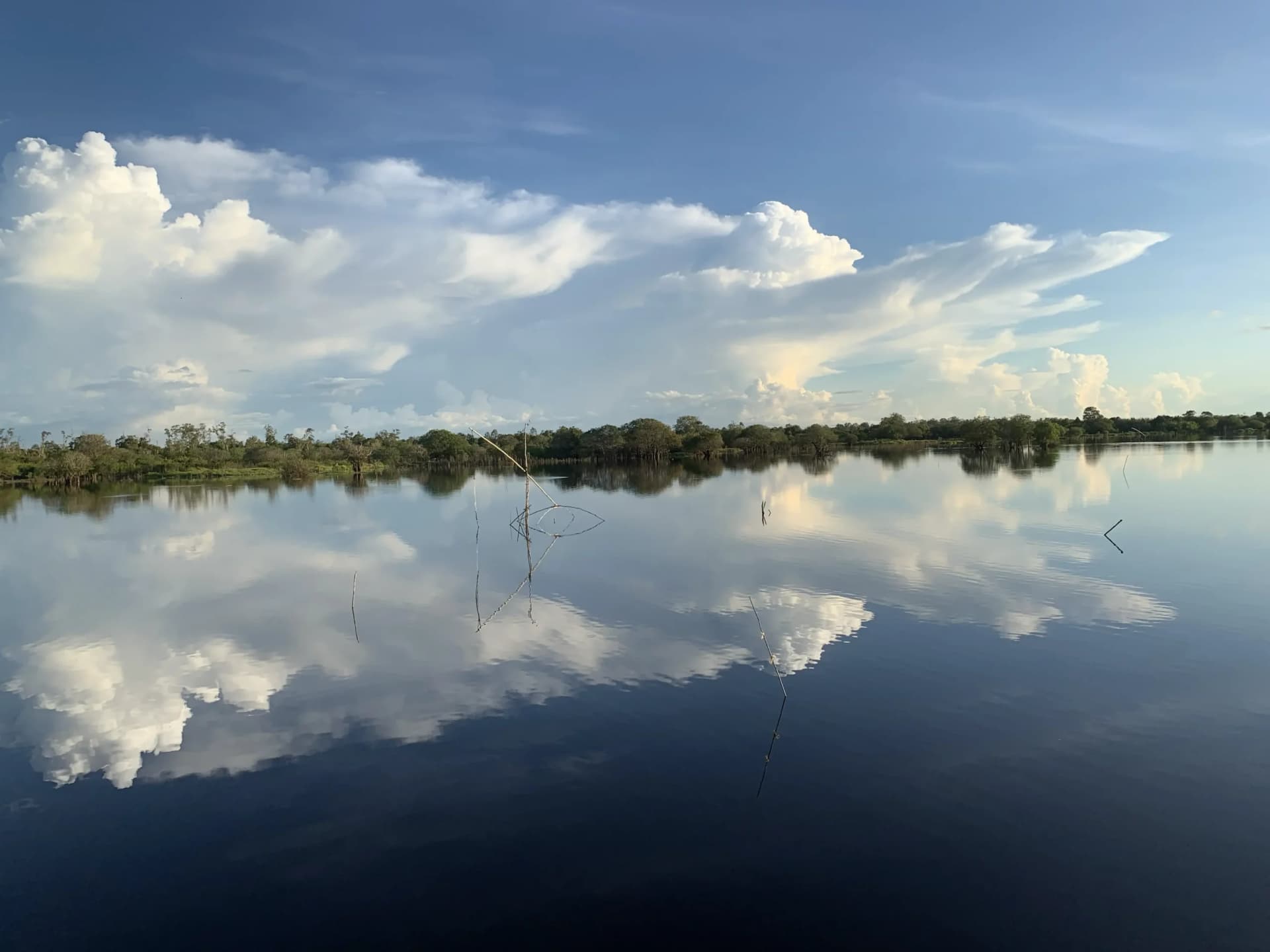 The Katingan River & Sebangau National Park Adventure 13