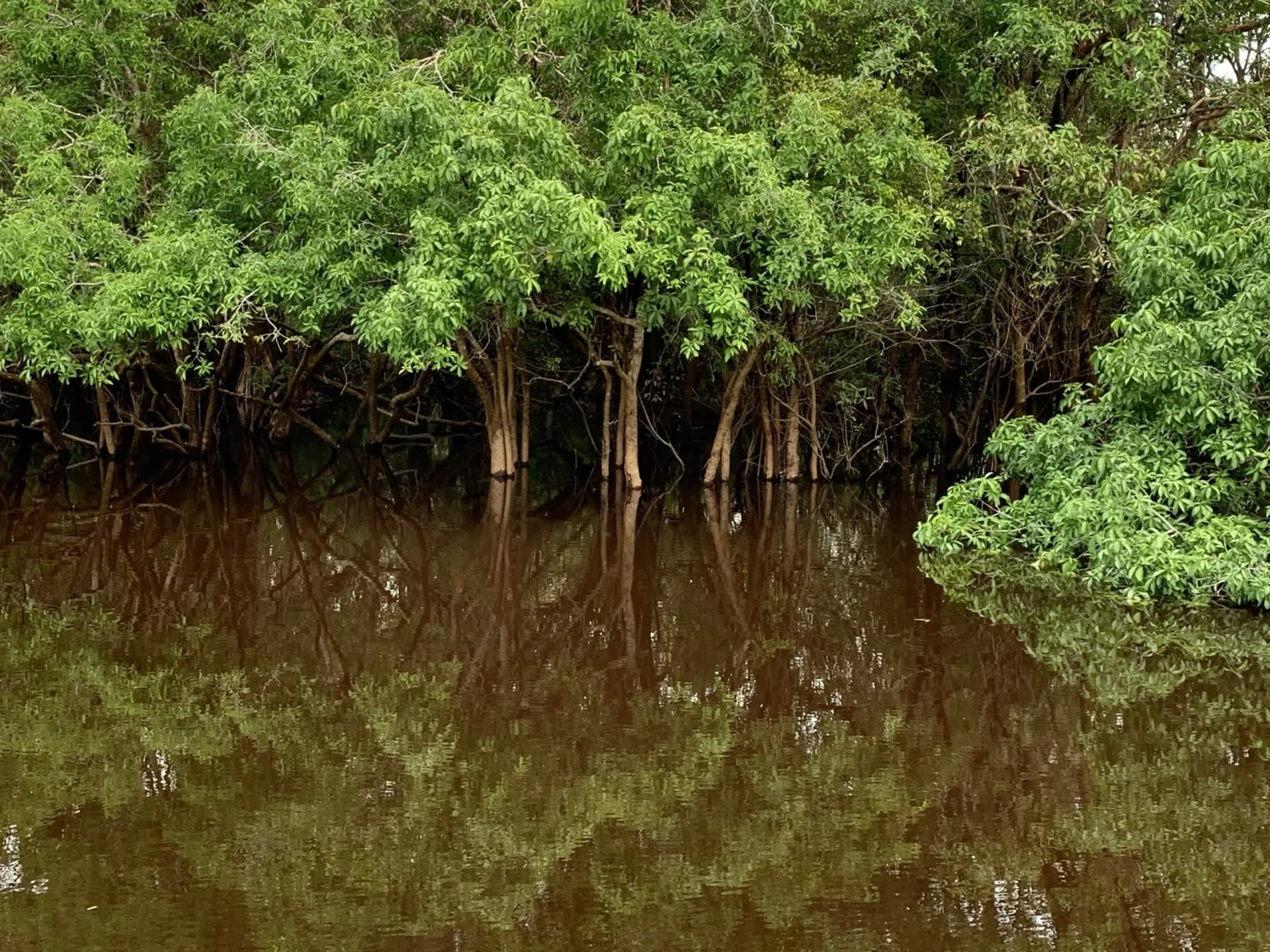 The Katingan River & Sebangau National Park Adventure 11