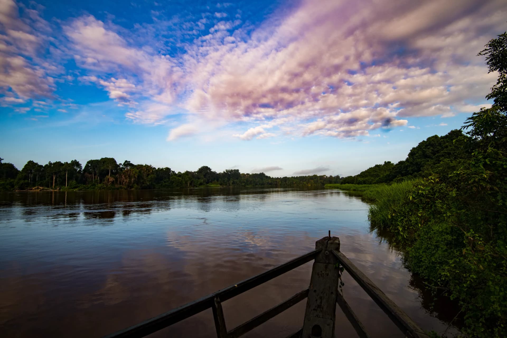 The Katingan River & Sebangau National Park Adventure 7