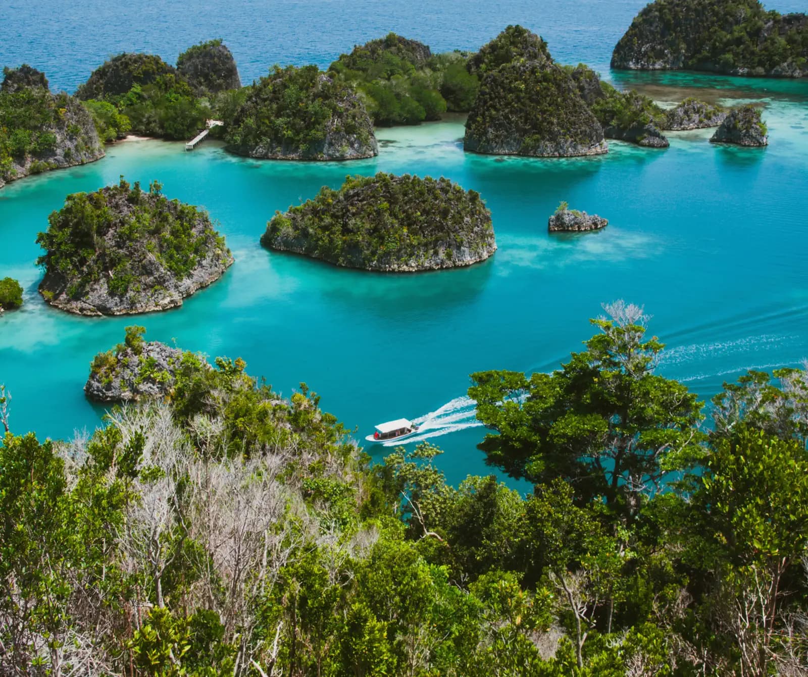Frais d’Entrée et Enregistrement Raja Ampat 2026 : Guide Complet