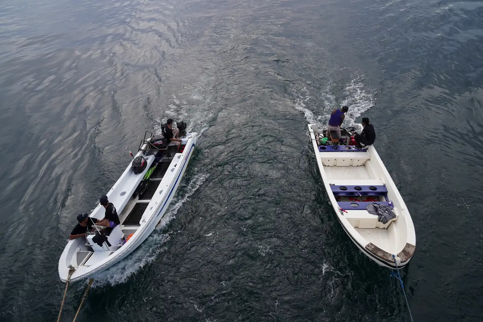 EcoXplorer Liveaboard Whale Shark Expedition in Cenderawasih Bay | May 2026 8
