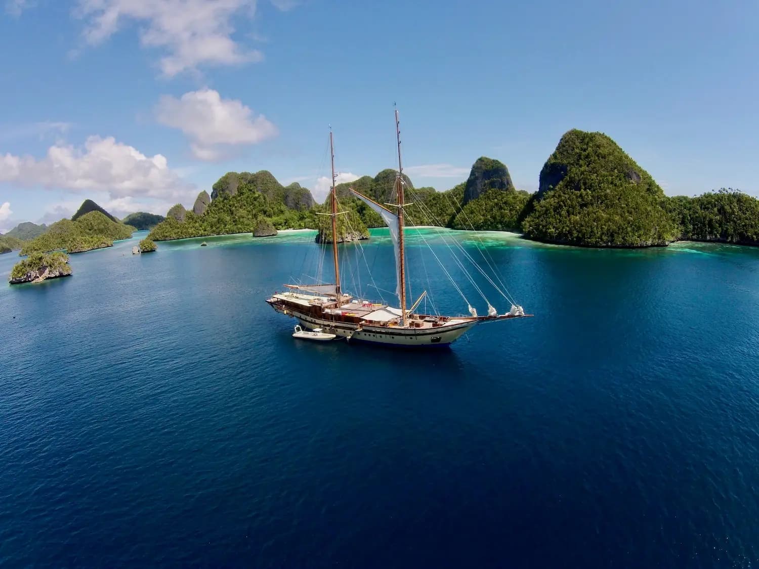 EcoXplorer Liveaboard Whale Shark Expedition in Cenderawasih Bay | May 2026 4