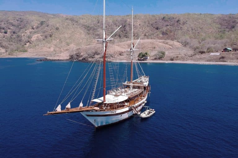 8-Day Shark Research Expedition in Raja Ampat with a National Geographic shark scientist 10