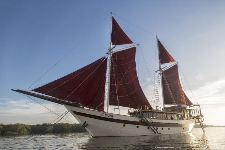 8-Day Shark Research Expedition in Raja Ampat with a National Geographic shark scientist 11