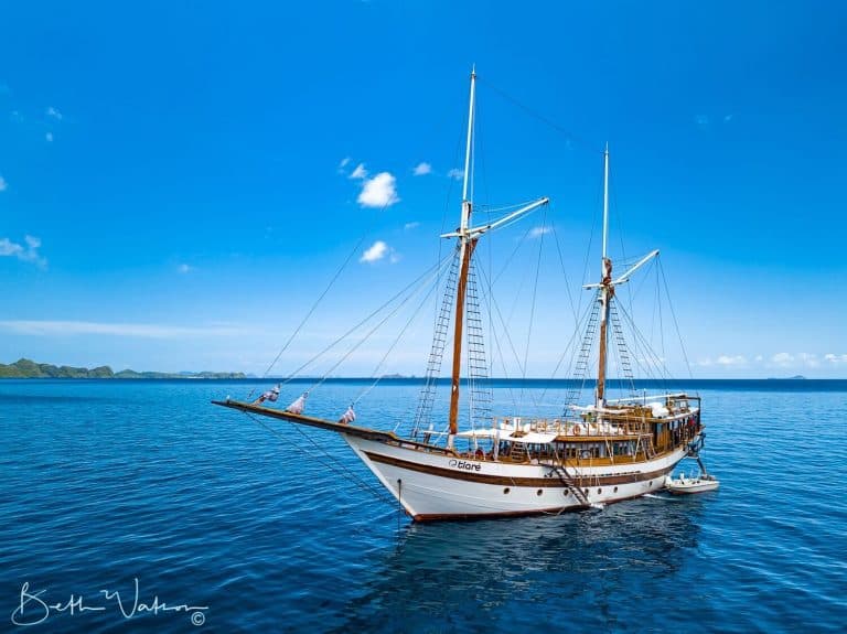 8-Day Shark Research Expedition in Raja Ampat with a National Geographic shark scientist 12